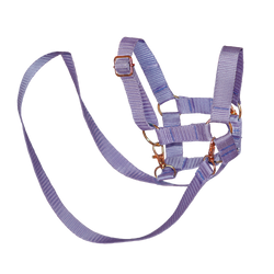 PEGAZ CLUB fioletowy kantar z wodzami dla Hobby Horse'a A3