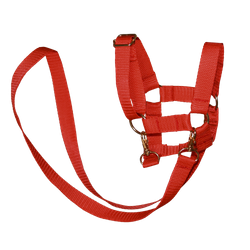 PEGAZ CLUB czerwony kantar z wodzami dla Hobby Horse'a A3