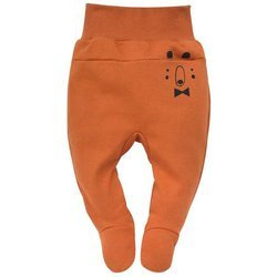 Półśpiochy brązowe The Bears Club Pinokio